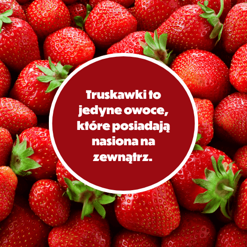 Truskawki to jedyne owoce, które nie posiadają nasion na zewnątrz.